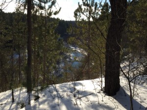 Shingle Mill Pathway